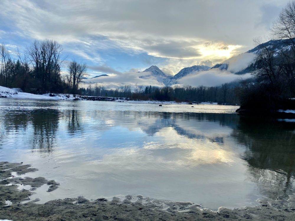 体験談 胸の腫瘍をとりました 線維腺腫 乳がんではない良性の 胸のしこり について みつはぶろぐ